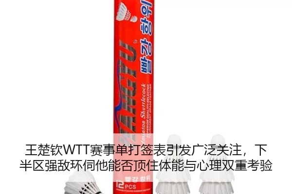 wang-chu-qin-sai-shi-dan-da-qian-biao-yin-fa-guang-fan-guan-zhu-xia-ban-qu-qiang-di-huan-si-ta-neng-fou-ding-zhu-ti-2-790.jpg